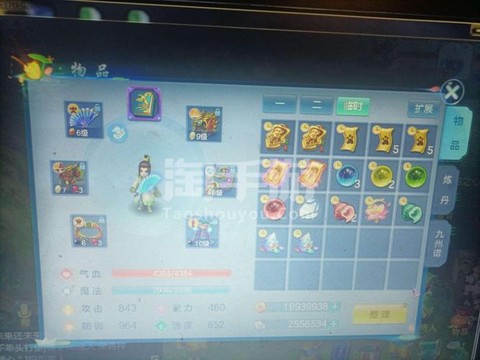 神武2手游方寸带什么宝宝