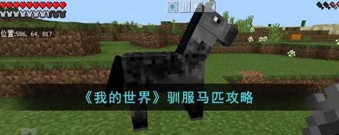 我的世界草泥马怎么骑