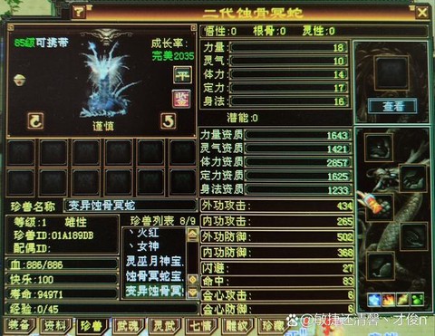 天龙八部宝宝资质怎么算[图1]