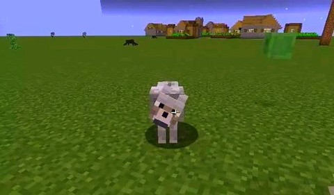 我的世界中狼怎么驯服