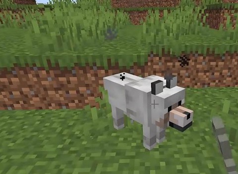 我的世界中狼怎么驯服[图1]