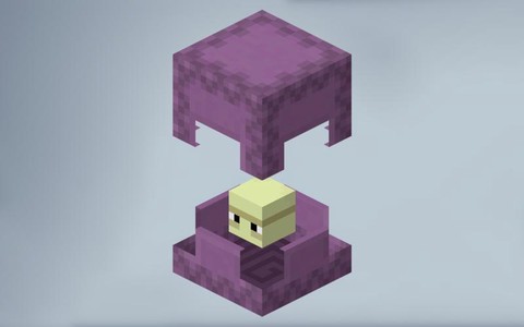 我的世界潜影贝怎么染色[图1]